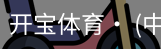 开宝体育官网