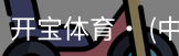开宝体育官网